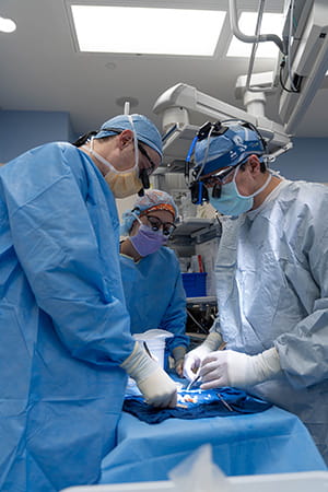 Doctors at Dell Children's performing heart transplant surgery.