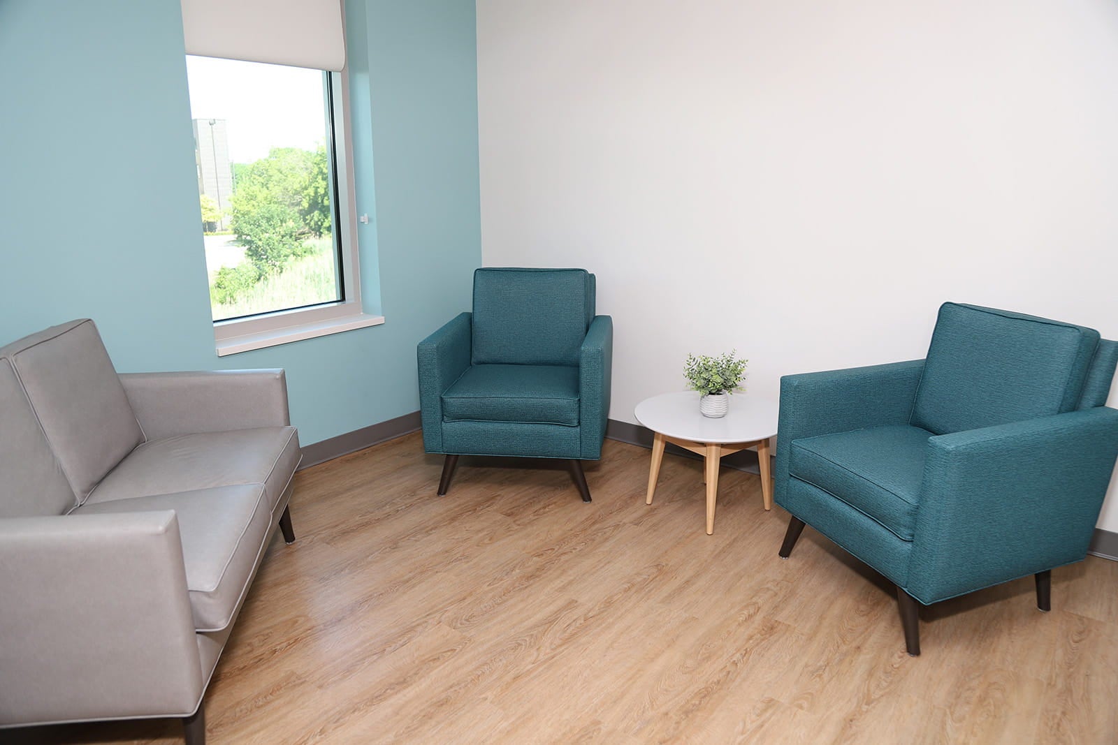 Ascension Alexian Brothers Behavioral Health Hospital consultation room