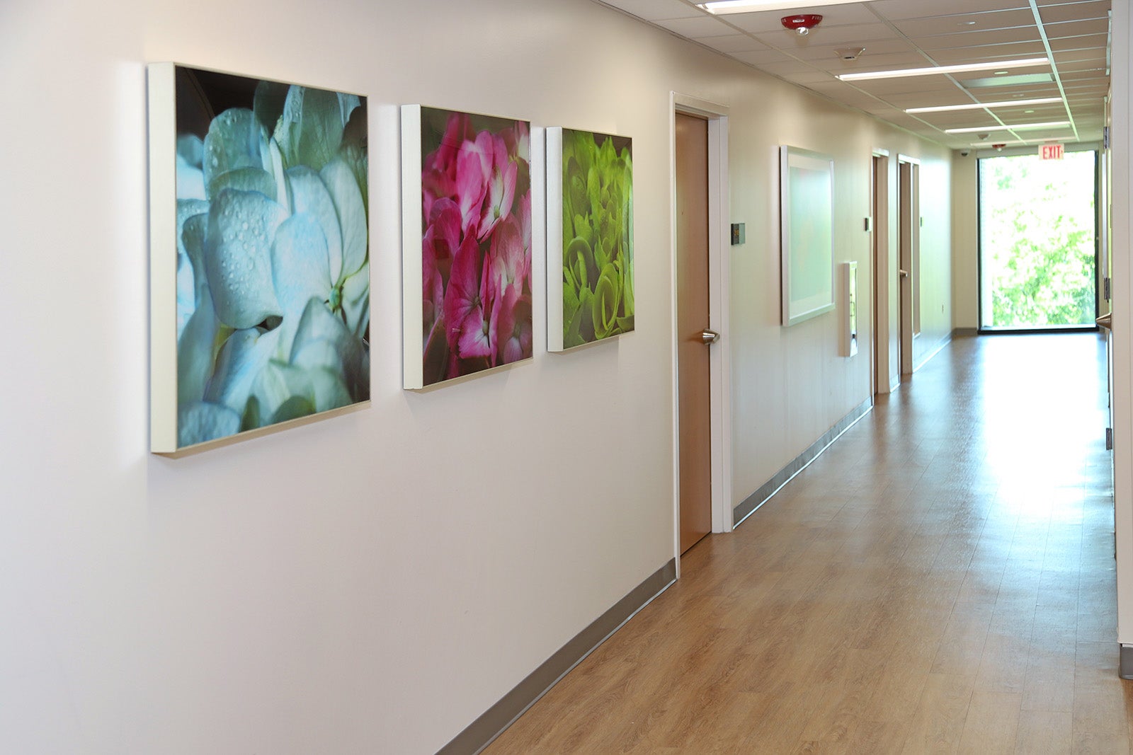 Ascension Alexian Brothers Behavioral Health Hospital outpatient hallway