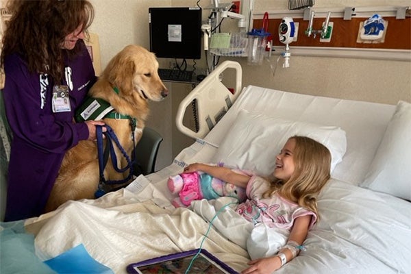 A therapy dog visits a young patient in a hospital bed as a healthcare worker stands nearby, bringing comfort during the child's hospital stay.