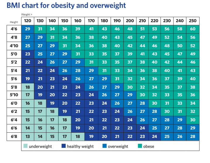 BMI chart for obesity and overweight