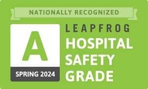 Leapfog Award Seal