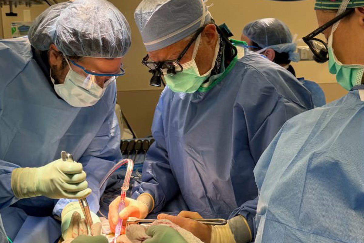 Dr. Politz collaborating with a spine surgeon to perform an anterior lumbar interbody fusion (ALIF) procedure.