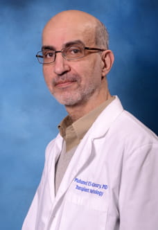 Mohamed A. El-ghoroury, MD